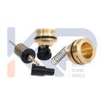 Tamir Takımı Demirdöküm Milenyum Plus, Saunier Duval S1006400